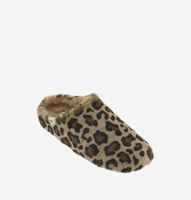 NORTE ZAPATILLAS CASA LEOPARDO