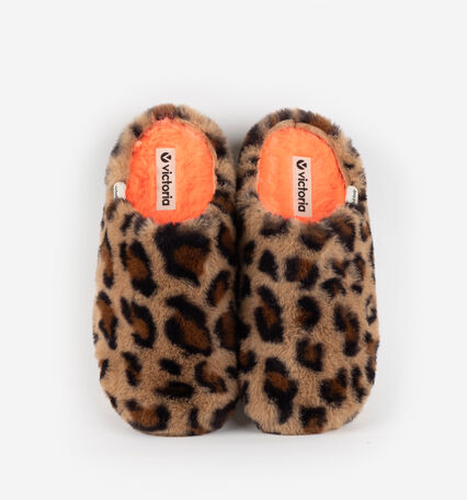 NORTE PELO LEOPARDO