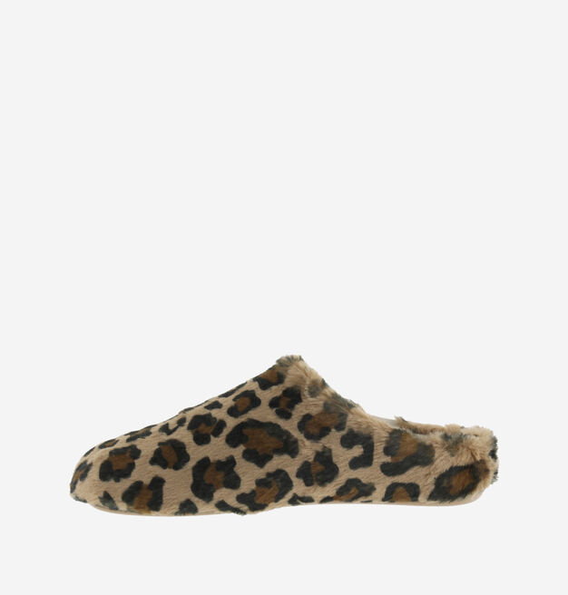 NORTE ZAPATILLAS CASA LEOPARDO