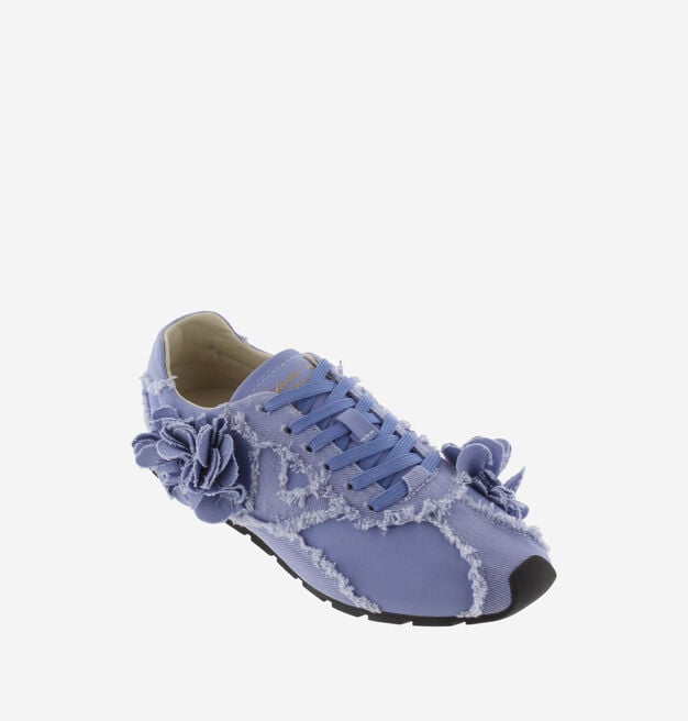 ASTER LONA DESFLECADA FLORES