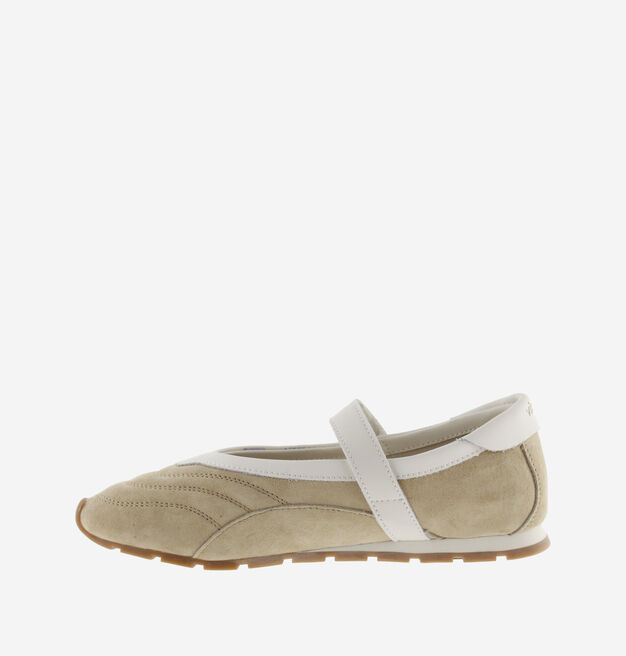 ASTER BAILARINA SERRAJE