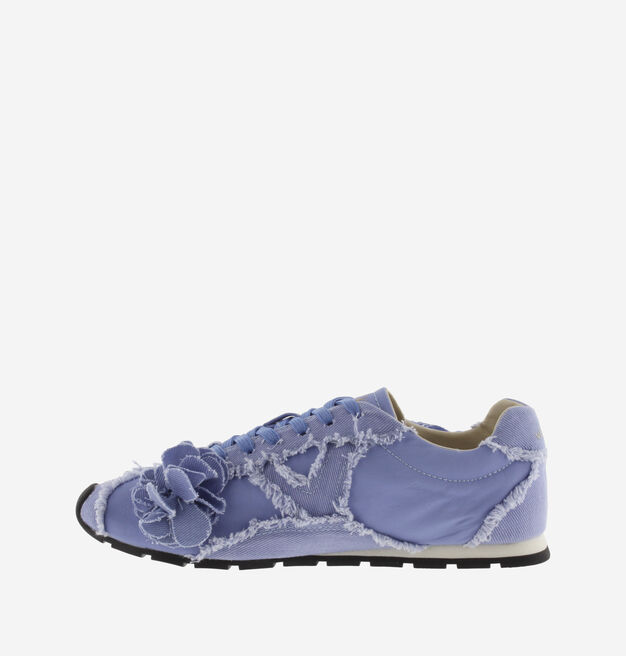 ASTER LONA DESFLECADA FLORES