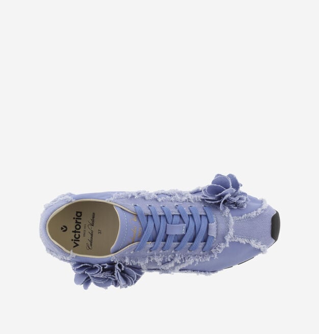 ASTER LONA DESFLECADA FLORES