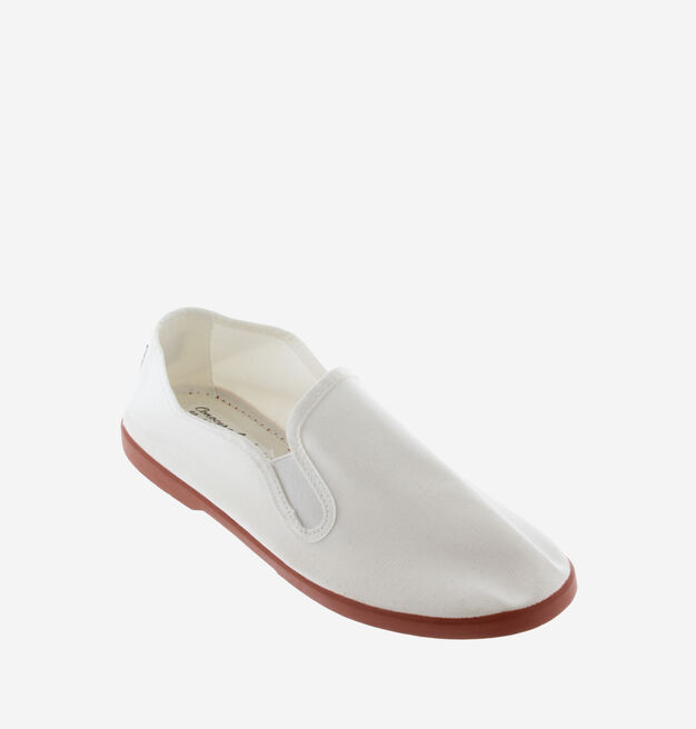 GONG-FU ALGOD&Oacute;N ECOL&Oacute;GICO