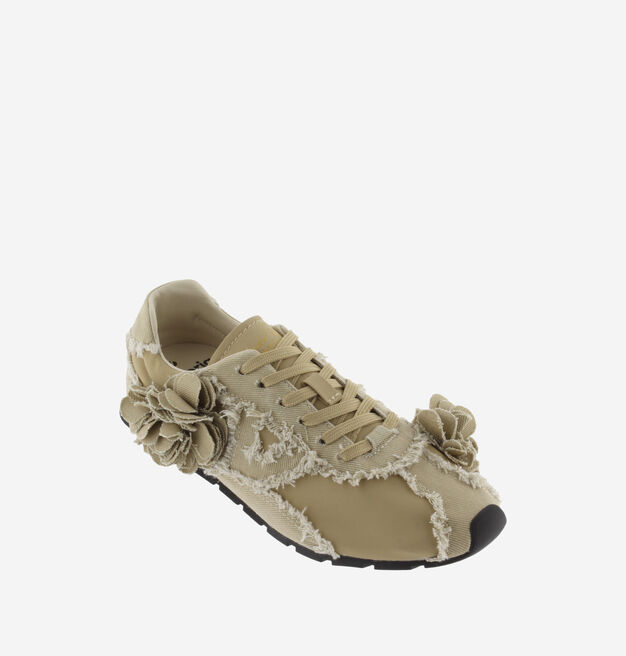 ASTER LONA DESFLECADA FLORES