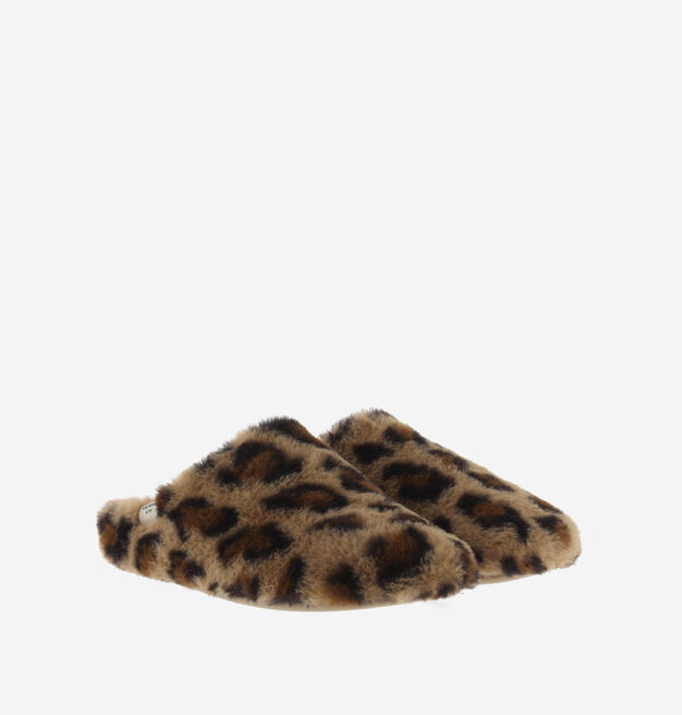 NORTE PELO LEOPARDO