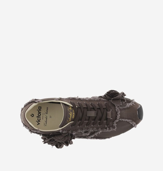 ASTER LONA DESFLECADA FLORES