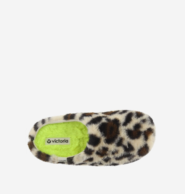 NORTE PELO LEOPARDO