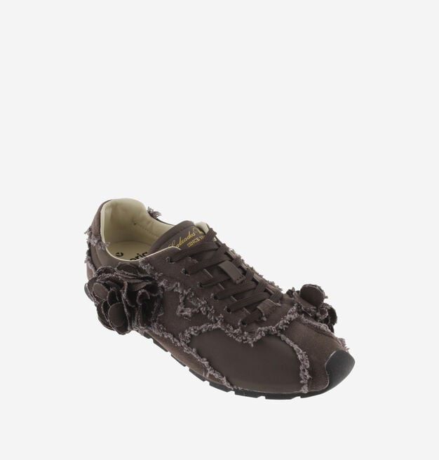 ASTER LONA DESFLECADA FLORES