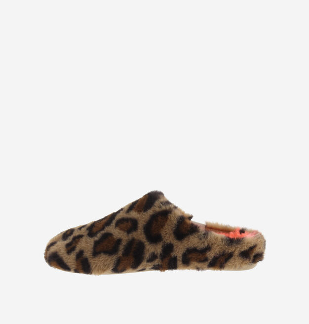 NORTE PELO LEOPARDO