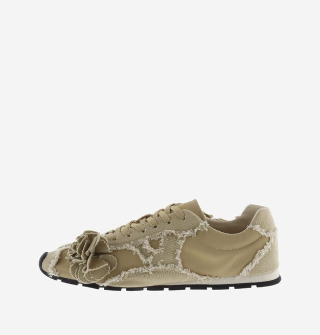 ASTER LONA DESFLECADA FLORES