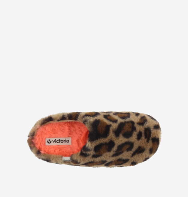 NORTE PELO LEOPARDO