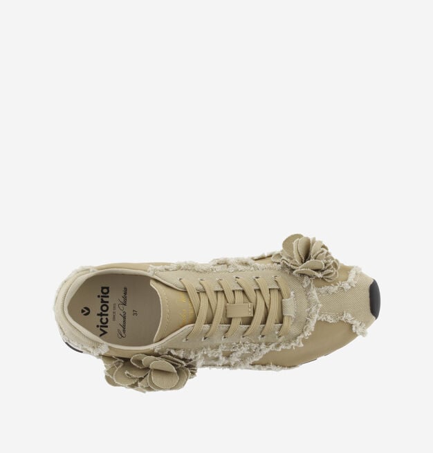 ASTER LONA DESFLECADA FLORES