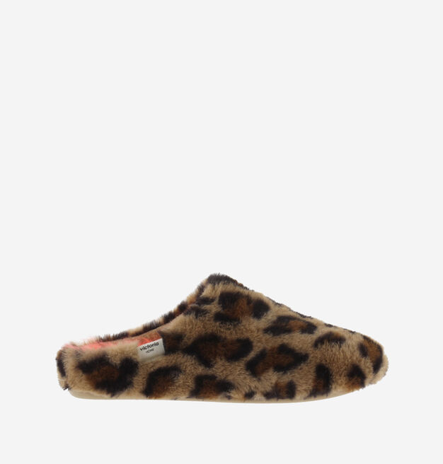 NORTE PELO LEOPARDO