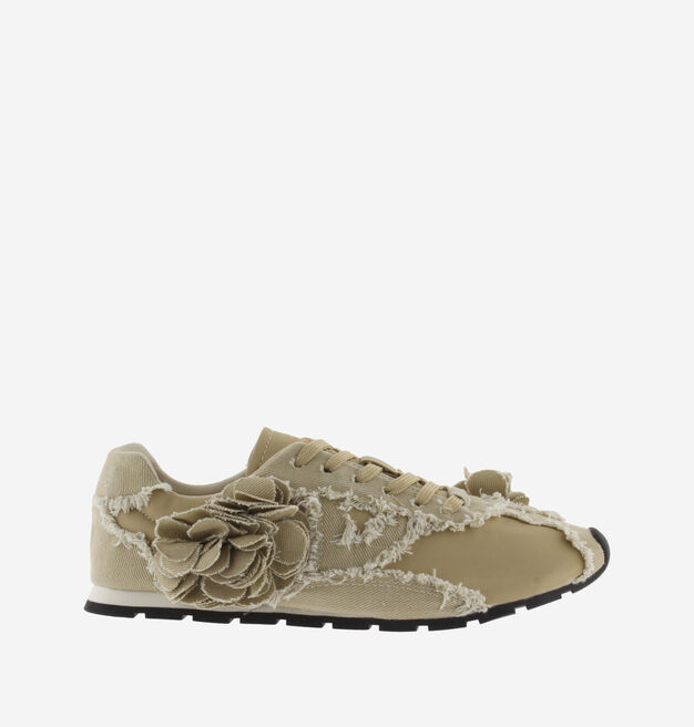 ASTER LONA DESFLECADA FLORES